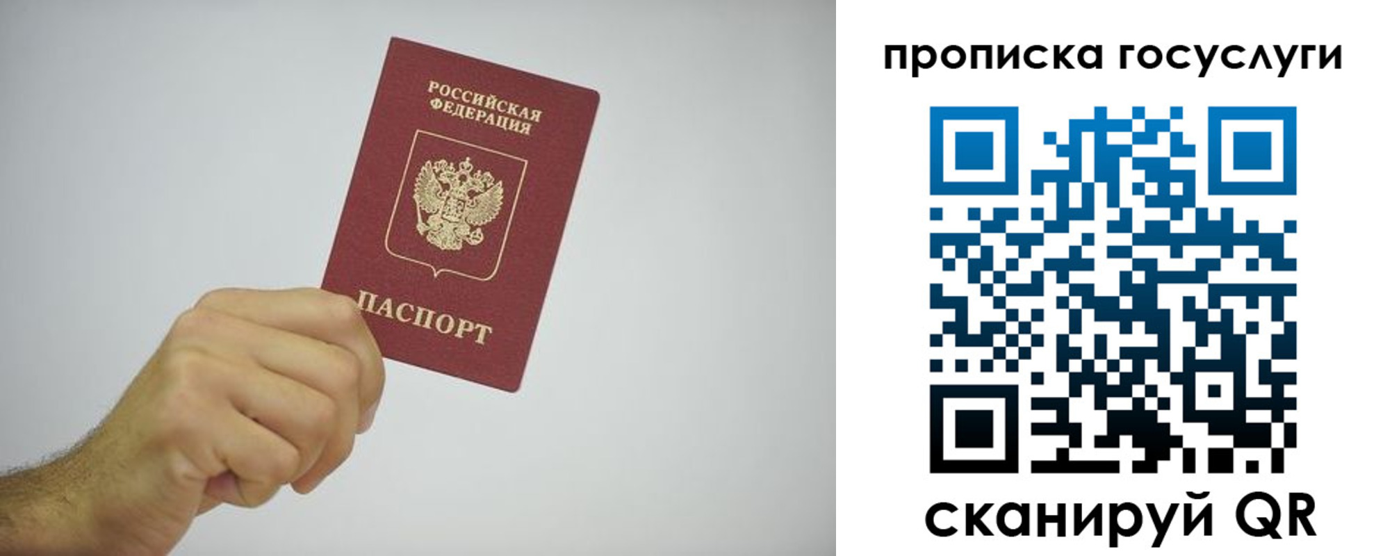 прописка законно в Жирновске